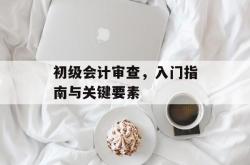 初级会计审查，入门指南与关键要素