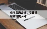 威海高级会计，专业领域的精英人才