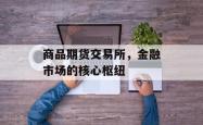 商品期货交易所，金融市场的核心枢纽