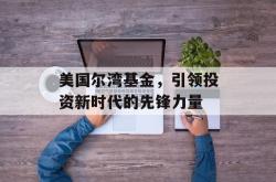 美国尔湾基金，引领投资新时代的先锋力量
