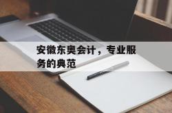 安徽东奥会计，专业服务的典范