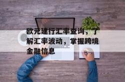 欧元建行汇率查询，了解汇率波动，掌握跨境金融信息