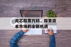 兆芯股票代码，探索资本市场的全新机遇