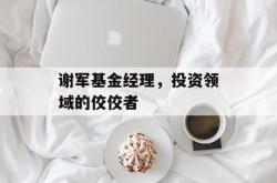 谢军基金经理，投资领域的佼佼者