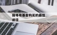 探寻母基金购买的最佳途径