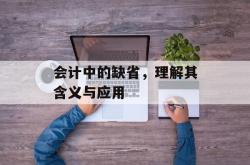 会计中的缺省，理解其含义与应用