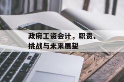 政府工资会计，职责、挑战与未来展望