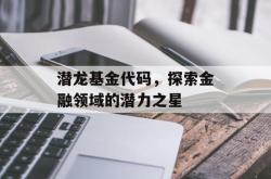 潜龙基金代码，探索金融领域的潜力之星