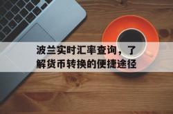 波兰实时汇率查询，了解货币转换的便捷途径
