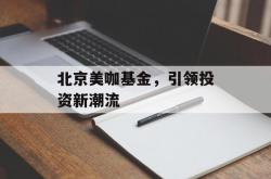 北京美咖基金，引领投资新潮流