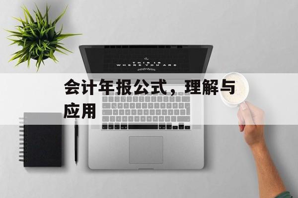会计年报公式，理解与应用
