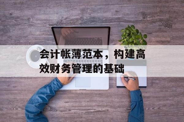 会计帐薄范本，构建高效财务管理的基础