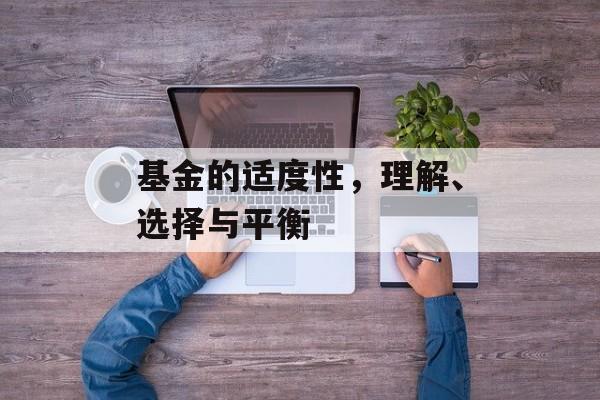 基金的适度性，理解、选择与平衡