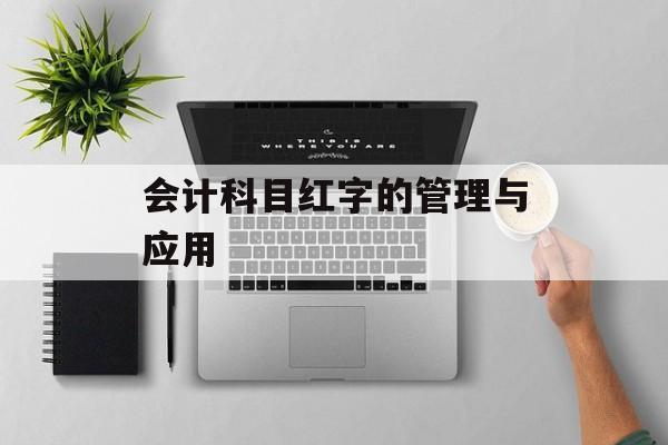 会计科目红字的管理与应用