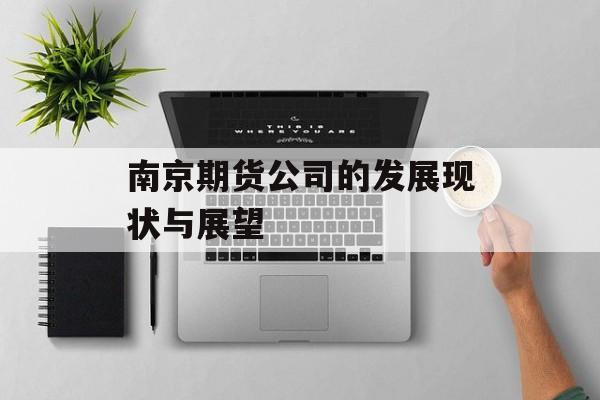 南京期货公司的发展现状与展望