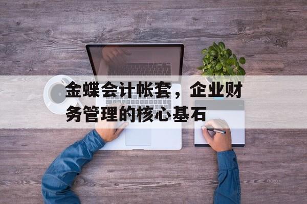 金蝶会计帐套，企业财务管理的核心基石