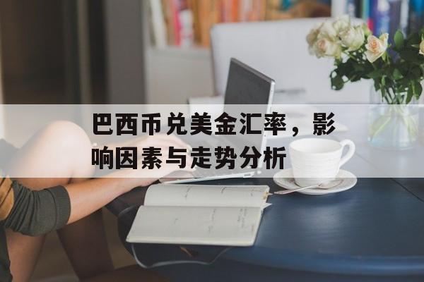 巴西币兑美金汇率，影响因素与走势分析