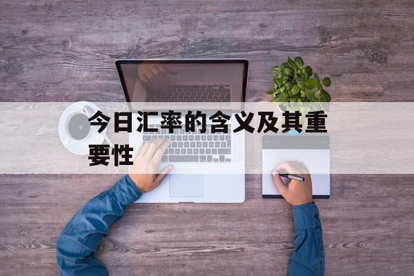 今日汇率的含义及其重要性