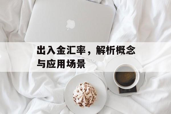 出入金汇率，解析概念与应用场景