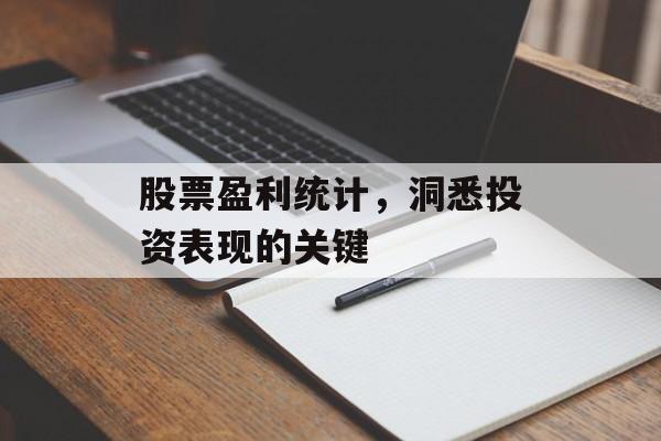 股票盈利统计，洞悉投资表现的关键