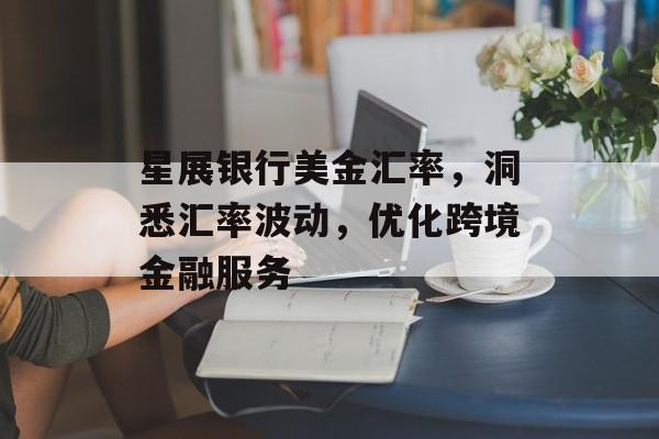 星展银行美金汇率，洞悉汇率波动，优化跨境金融服务