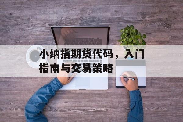 小纳指期货代码，入门指南与交易策略