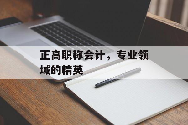 正高职称会计，专业领域的精英