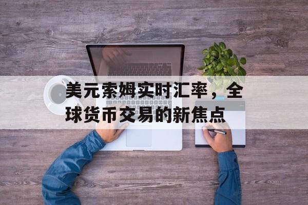 美元索姆实时汇率，全球货币交易的新焦点