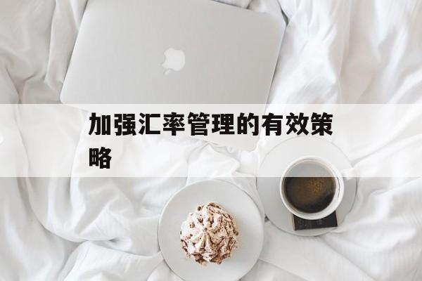 加强汇率管理的有效策略