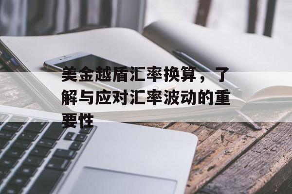 美金越盾汇率换算，了解与应对汇率波动的重要性