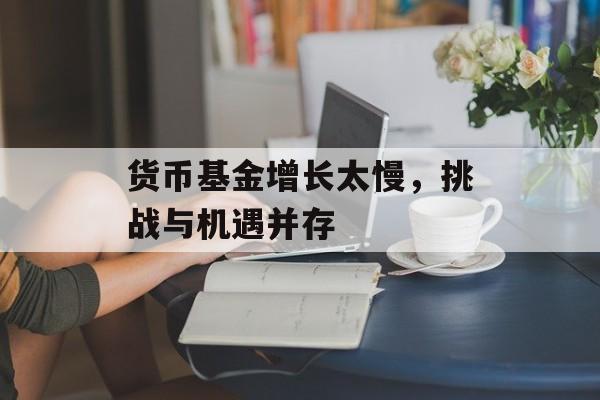 货币基金增长太慢，挑战与机遇并存