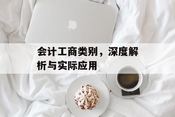 会计工商类别，深度解析与实际应用