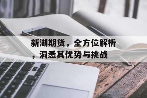 新湖期货，全方位解析，洞悉其优势与挑战