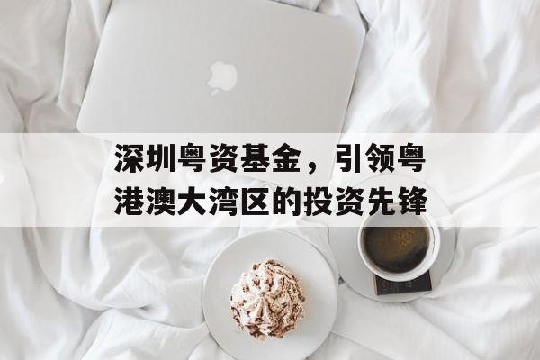 深圳粤资基金，引领粤港澳大湾区的投资先锋