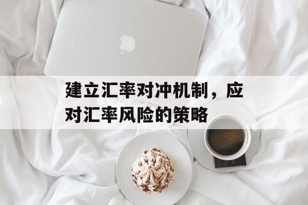 建立汇率对冲机制，应对汇率风险的策略