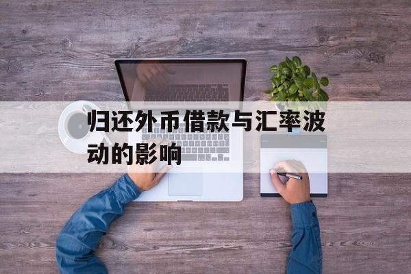 归还外币借款与汇率波动的影响