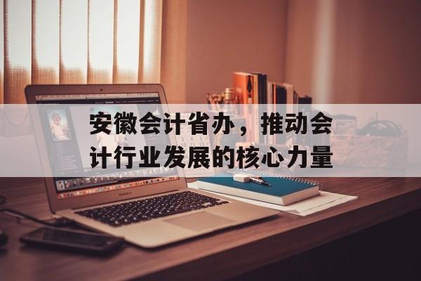 安徽会计省办，推动会计行业发展的核心力量