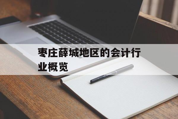 枣庄薛城地区的会计行业概览