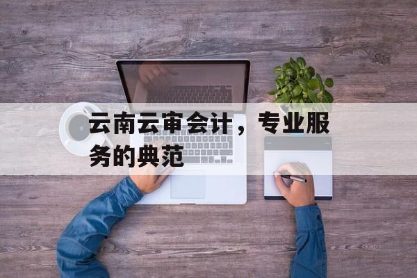 云南云审会计，专业服务的典范