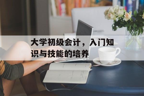 大学初级会计，入门知识与技能的培养