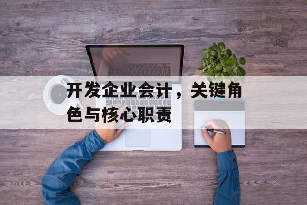 开发企业会计，关键角色与核心职责