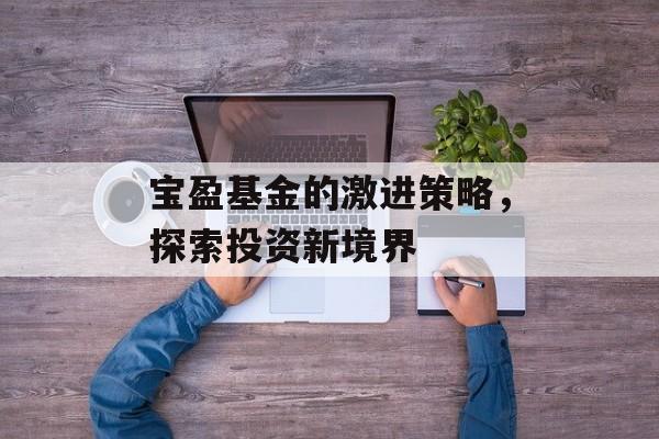 宝盈基金的激进策略，探索投资新境界