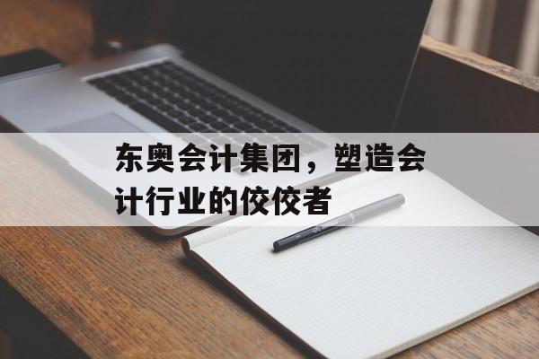 东奥会计集团，塑造会计行业的佼佼者