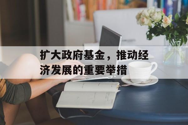扩大政府基金，推动经济发展的重要举措