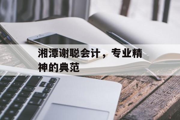 湘潭谢聪会计，专业精神的典范