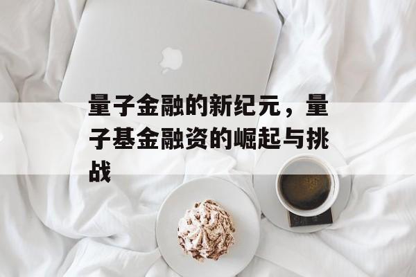量子金融的新纪元，量子基金融资的崛起与挑战