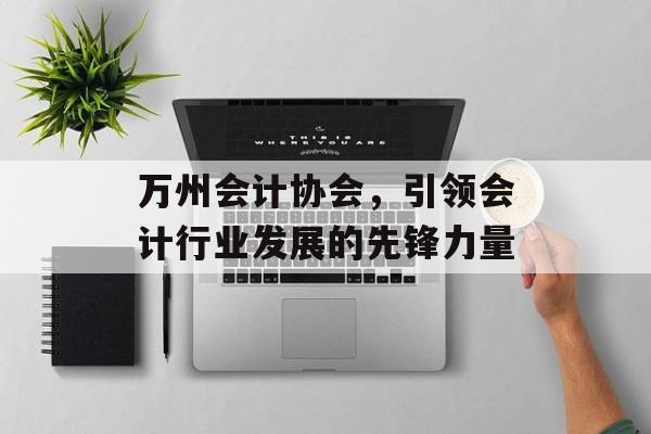 万州会计协会，引领会计行业发展的先锋力量