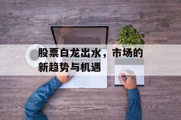 股票白龙出水，市场的新趋势与机遇