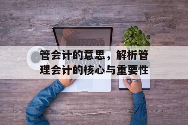 管会计的意思，解析管理会计的核心与重要性