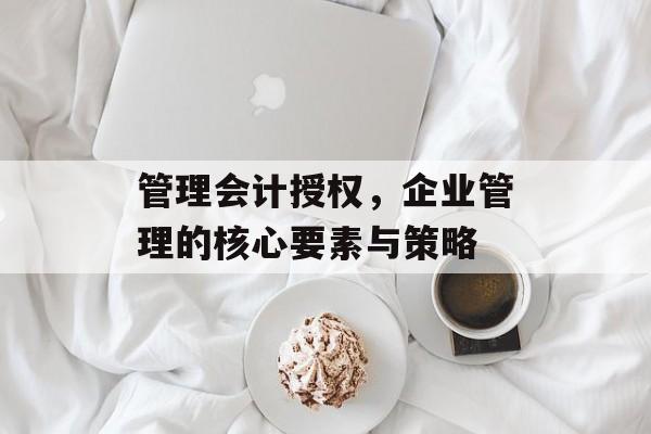 管理会计授权，企业管理的核心要素与策略